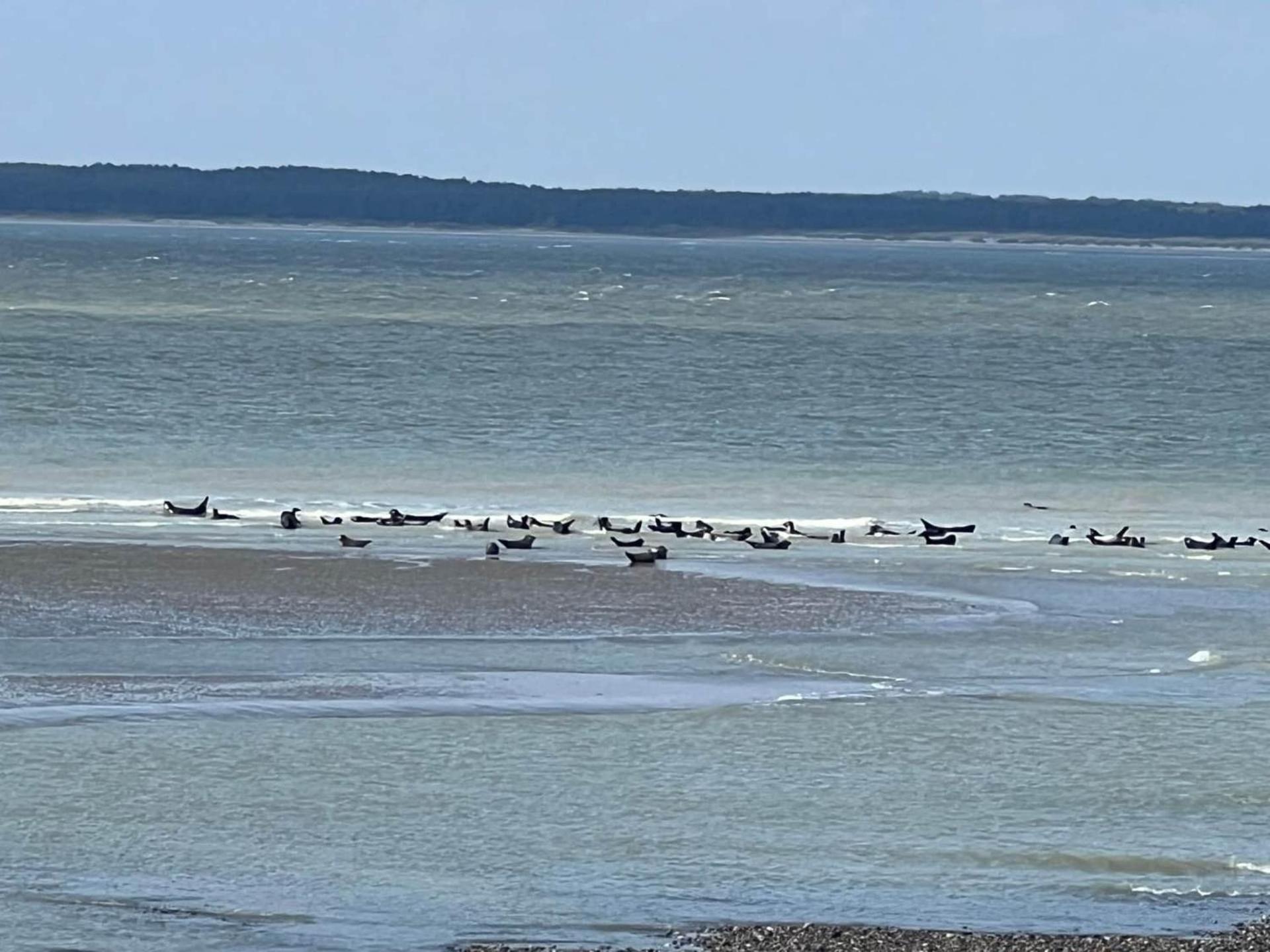 Caprices De Mer Appartement Avec Grand Balcon Et Vue A 300 M Plage, Apercu Mer, Lit Queen Size, Mers Les Bains Le Treport , Petit Dejeuner En Option, 2 Velos Fournis Exteriér fotografie